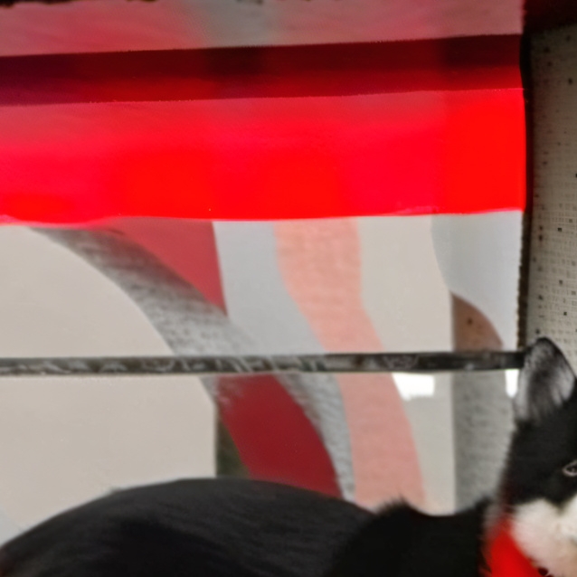 chat with ai character: Doggy 