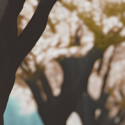 chat with ai character: Nature