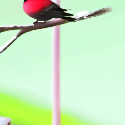 chat with ai character: Rayna