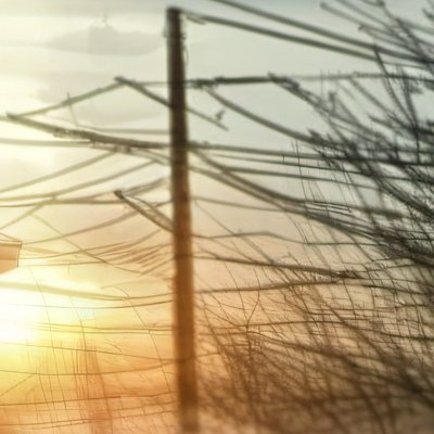 chat with ai character: Zombie apocalypse 