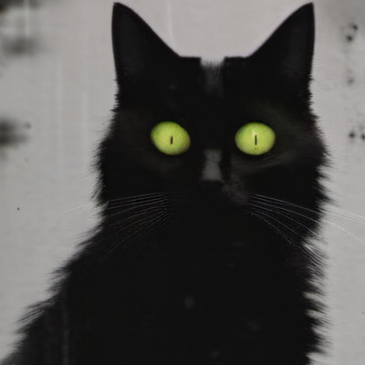 chat with ai character: The Nightmare Cat