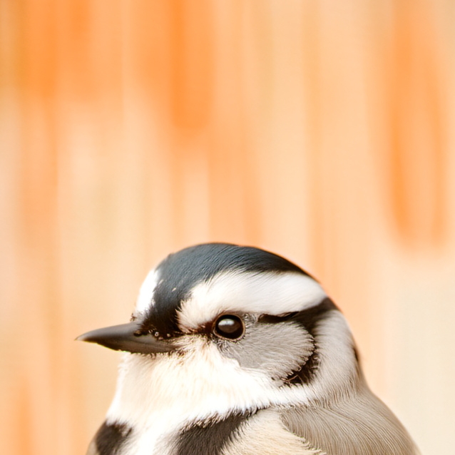 chat with ai character: nobody