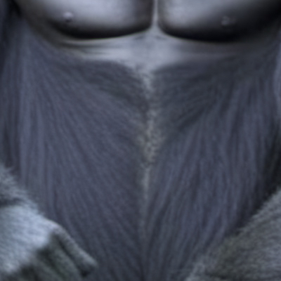 chat with ai character: Gorilla