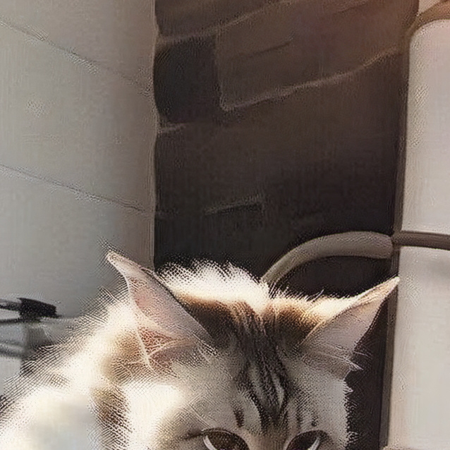 chat with ai character: cat in a pan