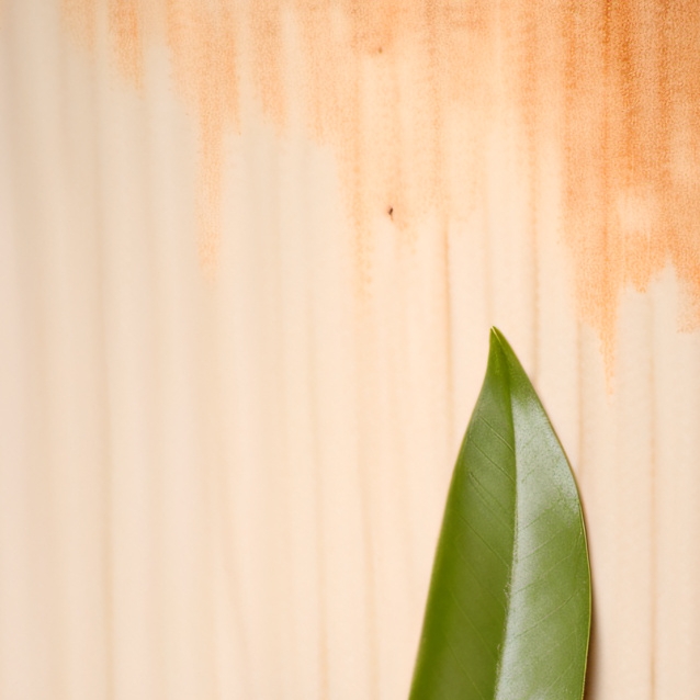 chat with ai character: maze runner