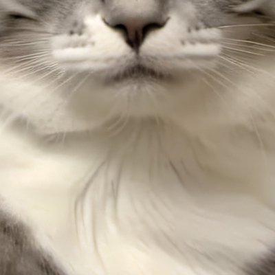 chat with ai character: Mama cat with kits