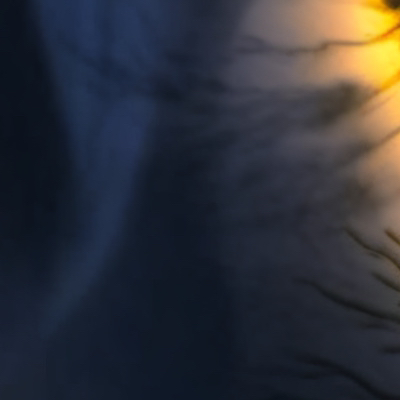 chat with ai character: Eclipse 