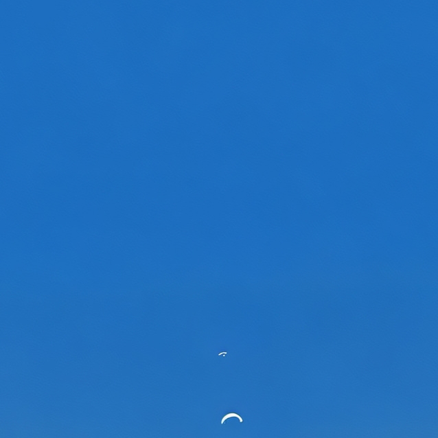 chat with ai character: BSOD screen