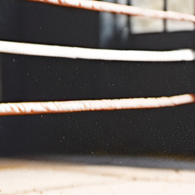 chat with ai character: Boxer