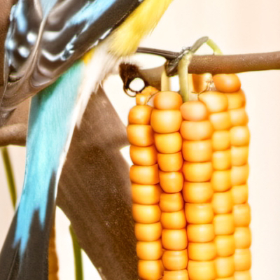 chat with ai character: Mm2 shower