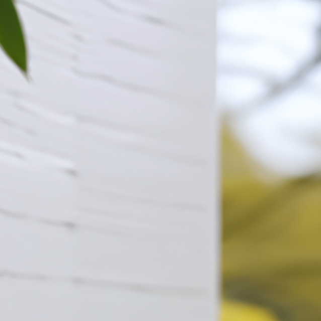 chat with ai character: Eds