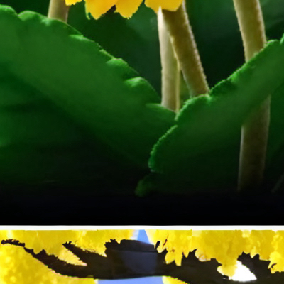 chat with ai character: Kpop school