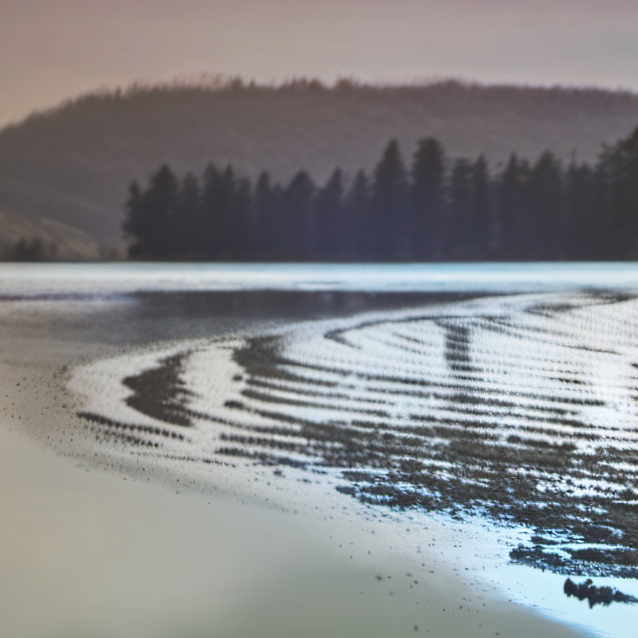 chat with ai character: murder-drones