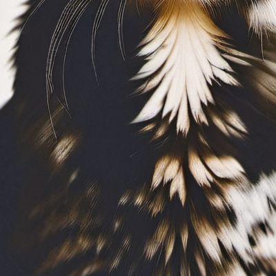 chat with ai character: Kitty cat<3