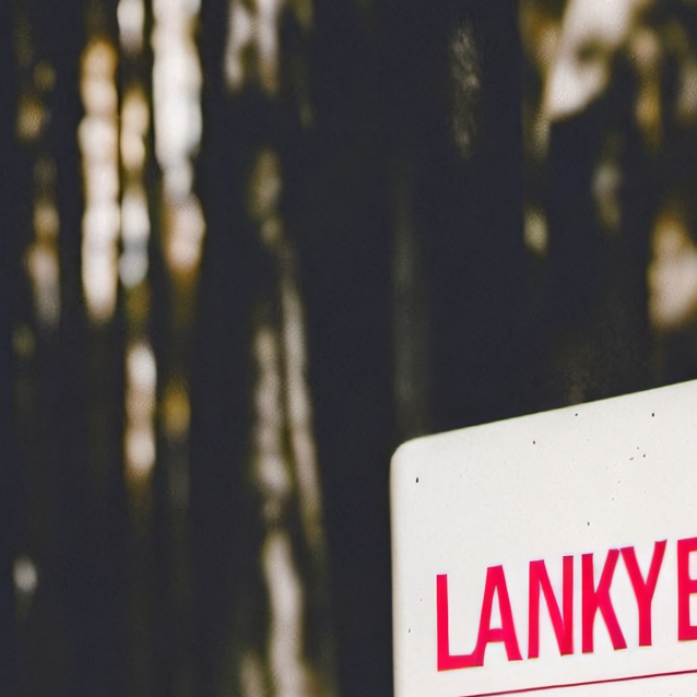 chat with ai character: lankybox 