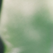 chat with ai character: Alice