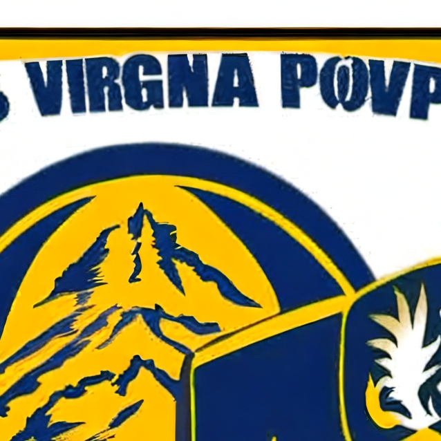 chat with ai character: Virginia State Pol